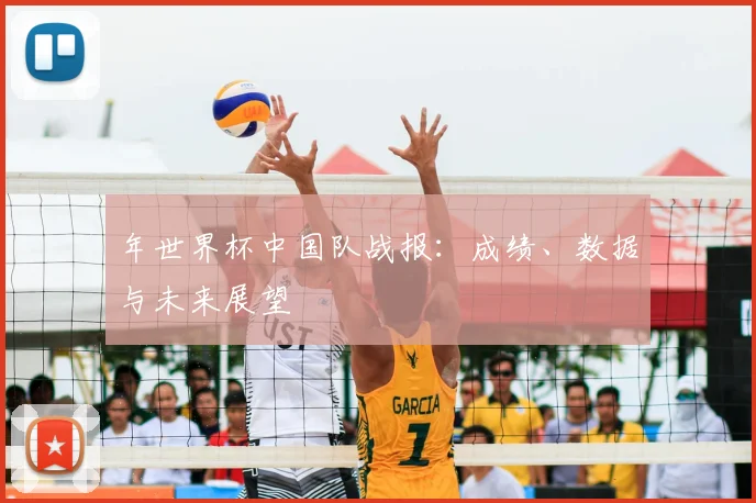年世界杯中国队战报：成绩、数据与未来展望