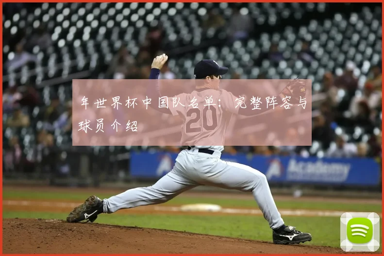 年世界杯中国队名单：完整阵容与球员介绍