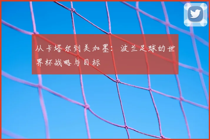 从卡塔尔到美加墨：波兰足球的世界杯战略与目标