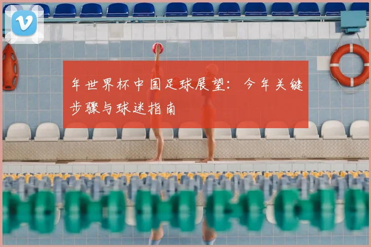 年世界杯中国足球展望：今年关键步骤与球迷指南