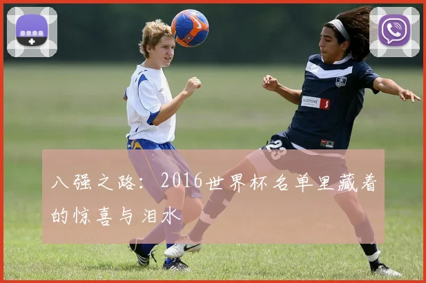八强之路:2016世界杯名单里藏着的惊喜与泪水