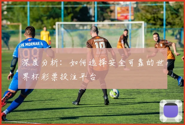 深度分析：如何选择安全可靠的世界杯彩票投注平台