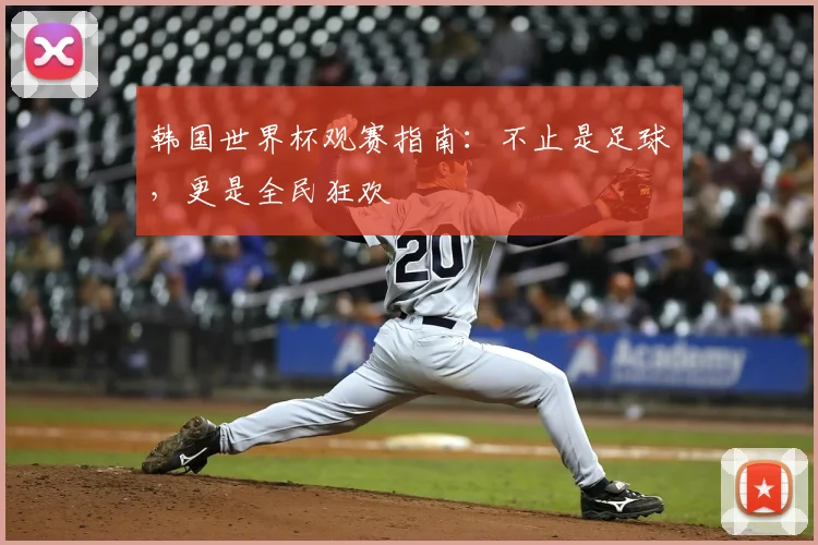 韩国世界杯观赛指南：不止是足球，更是全民狂欢