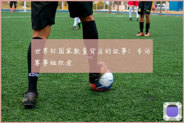 世界杯国家数量背后的故事：专访赛事组织者