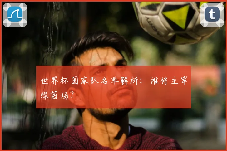 世界杯国家队名单解析：谁将主宰绿茵场？