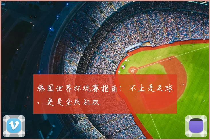 韩国世界杯观赛指南：不止是足球，更是全民狂欢