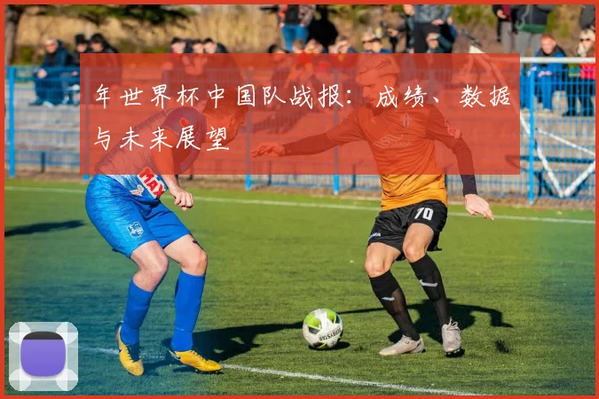 年世界杯中国队战报：成绩、数据与未来展望