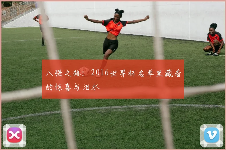 八强之路：2016世界杯名单里藏着的惊喜与泪水