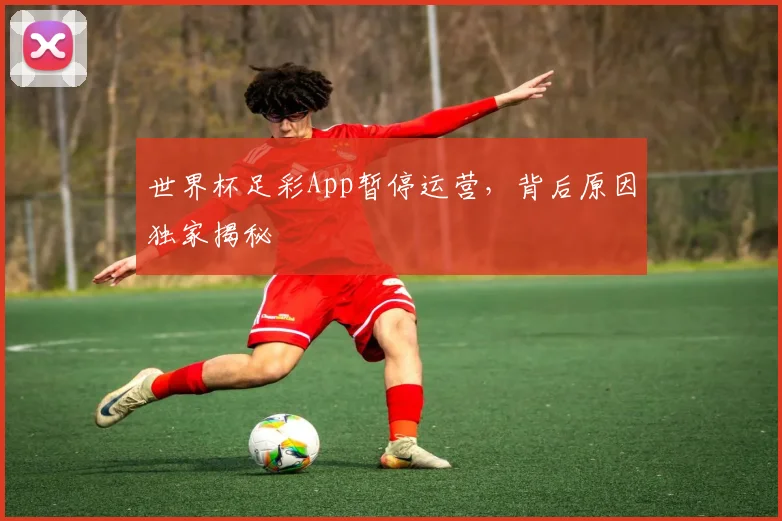 世界杯足彩App暂停运营，背后原因独家揭秘