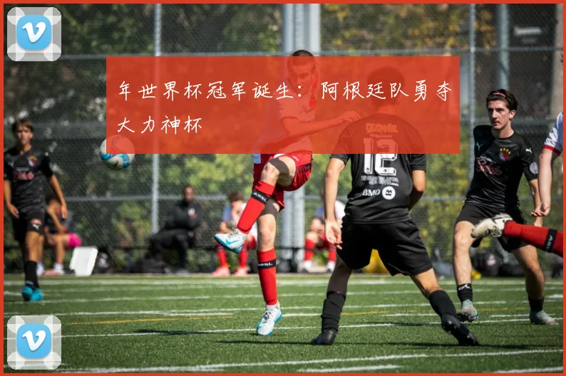 年世界杯冠军诞生：阿根廷队勇夺大力神杯