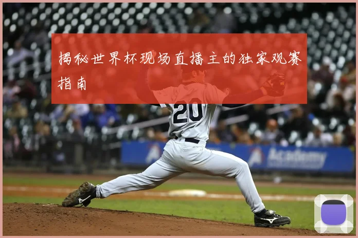 揭秘世界杯现场直播主的独家观赛指南