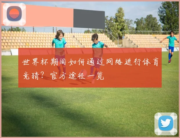 世界杯期间如何通过网络进行体育竞猜？官方途径一览