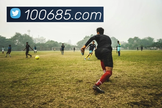 bsports官网登录入口服务体系